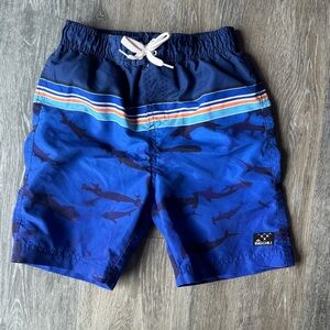 Big Chill Blue Shark Stripe Boys' Swim Trunks
